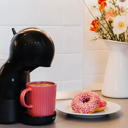 Friends Loft With Terrace & River View Old Town Bělehrad